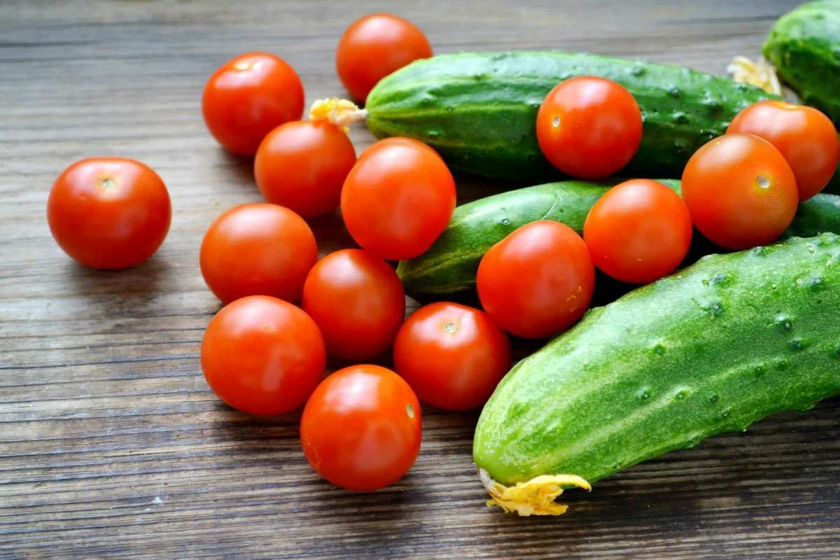 Ленинградская область станет выращивать томаты и огурцы для всех.