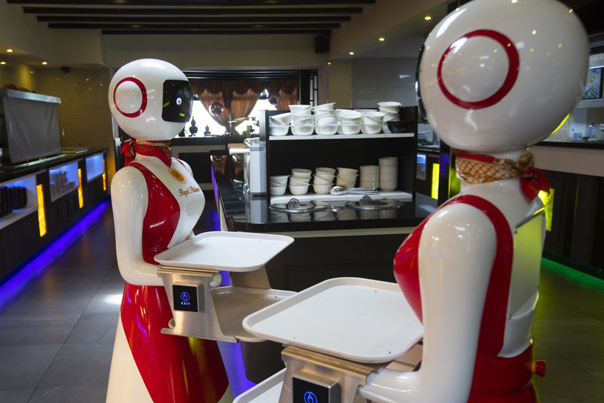 В Нидерландах в кафе официантов заменили роботы